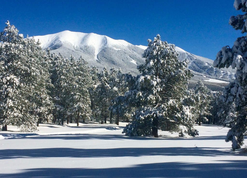 Mount Humphrey/Snow Bowl 